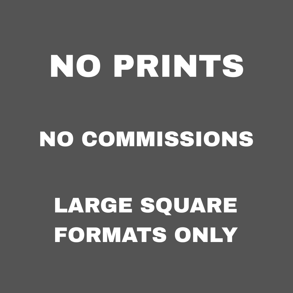 Grey graphic with white text reading ‘NO PRINTS, NO COMMISSIONS, LARGE SQUARE FORMATS ONLY’, representing Bernie Wong Art’s creative principles